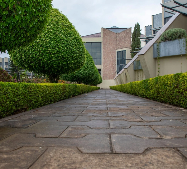 The Power of Thoughtfully Designed Outdoor Spaces